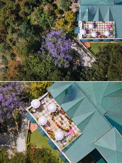 A stunning drone's-eye view of a colorful Haldi ceremony setup on a terrace in Kasauli, surrounded by lush greenery and blooming Jacaranda trees.
