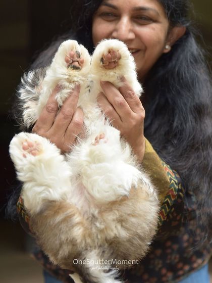 Priyanka - Family & Pet Photography Outdoor Family Adventures photo 37