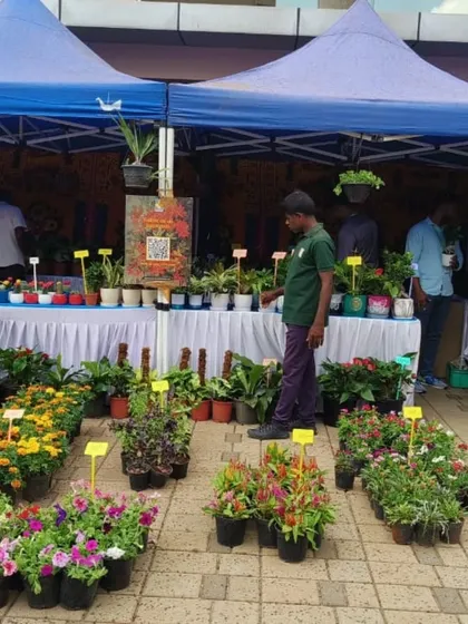 Our pop-up booth for World Environment Day, filled with a variety of flowering plants and succulents. We love taking our plants out to meet the community at special events.
