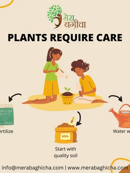 Summer heat can be tough on plants. This guide provides important tips in Hindi on how to protect your plants during hot weather, covering watering schedules, mulching, and providing shade.
