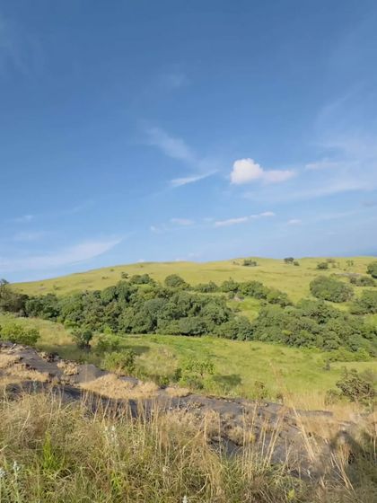 A view of the grasslands and Shola forests under a clear blue sky.