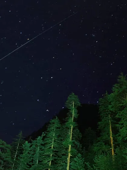 A shooting star streaks across the night sky above a forest of pine trees. I am in love with these quiet, 3 AM moments, filled with stars, cold wind, and silence.