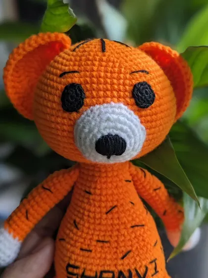 A close-up of the tiger's friendly face.