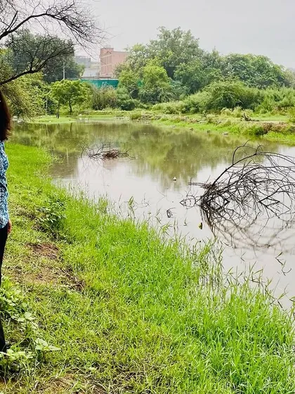 This is the 'sukoon' we work for. A visitor enjoys the serene view of the jheel at our restored Ghata Bundh site. Once a forgotten patch of land, it is now a peaceful refuge for both people and birds, right in the middle of the city.