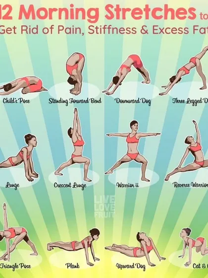 A visual guide to 12 morning stretches to get rid of pain, stiffness, and excess fat. This comprehensive chart includes everything from Child's Pose to Warrior II.