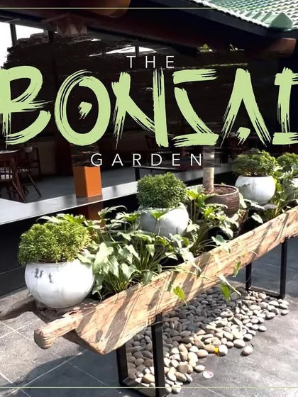 This is a glimpse of the bonsai garden I created for Haiku restaurant. The centerpiece is a large, rustic boat repurposed as a planter, filled with a variety of bonsai and other greens, turning the space into a unique, story-filled oasis.