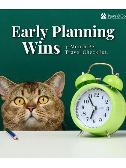 PawsnCollars - Veterinary Care Seamless Pet Relocation, Worldwide photo 6