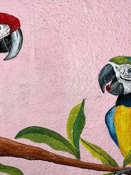 A close-up shot of the two parrots, showing the detailed texture and brushstrokes on their feathers.