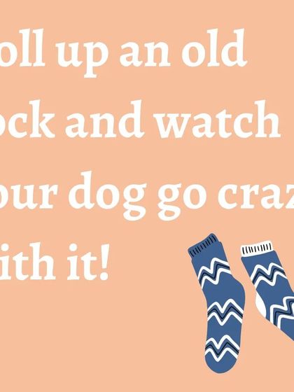 Lost a sock in the laundry? Perfect! Roll it up into a ball and you have an instant chew toy that can be very relaxing for your dog, especially for teething puppies.