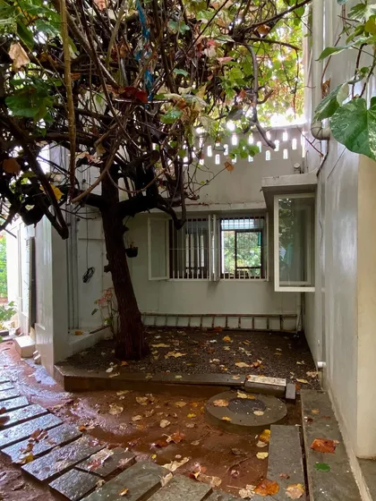 A small courtyard in the 'Wedge Home', a private outdoor space carved out of the building's form.