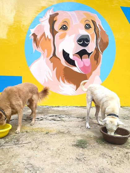 Two dogs enjoy their meal in front of a colorful mural at the sanctuary. We believe in creating a positive and cheerful environment for our dogs to heal and live in.