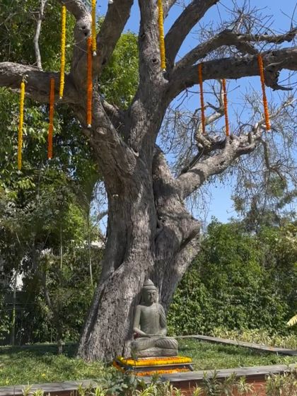 Vibrant Haldi & Mehendi Setups photo 8