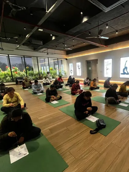 A full class at our studio, with students engaged in a focused activity. Our group sessions offer a wonderful sense of community and shared purpose on the wellness journey.