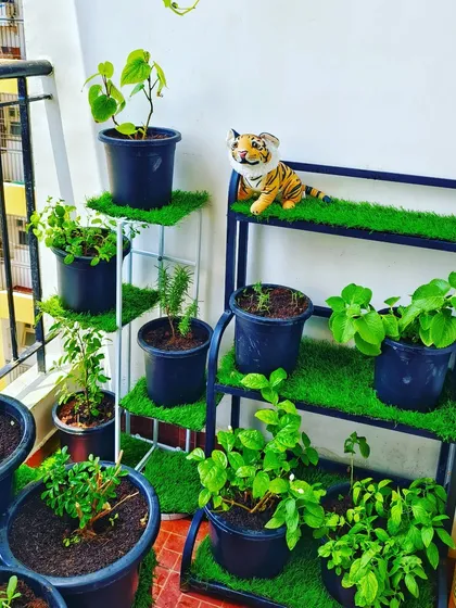 To make the most of a small balcony, we used tiered plant stands with built-in artificial grass turf. This allows for multiple layers of plants, including herbs and flowering varieties, without cluttering the floor space.