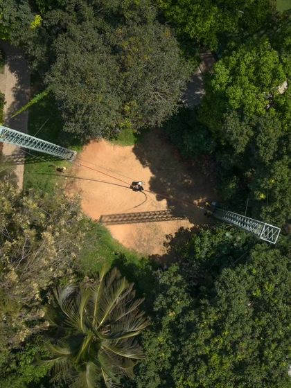 An aerial view of the Giant Swing setup, nestled among the trees, showing the scale of this thrilling ride.