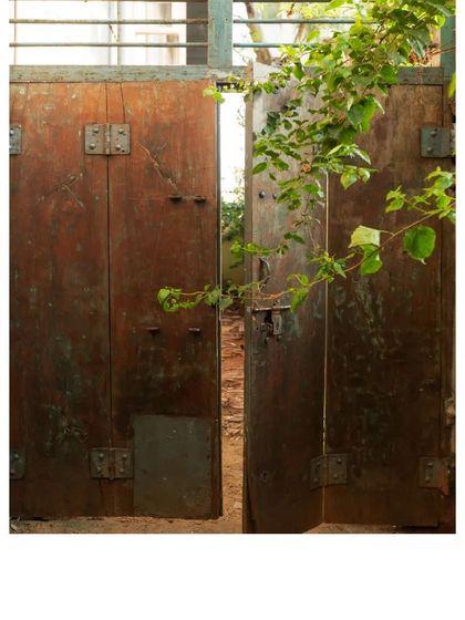 A rustic door peeking through lush foliage. We love how repurposed materials can blend so beautifully with nature, creating spaces that feel both built and grown.