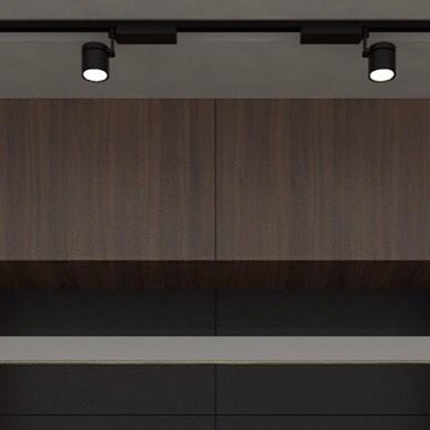 A detail of the track lighting and veneer cabinets from the black kitchen concept. This view shows the precise alignment and minimalist hardware that contribute to the kitchen's sophisticated and modern aesthetic.