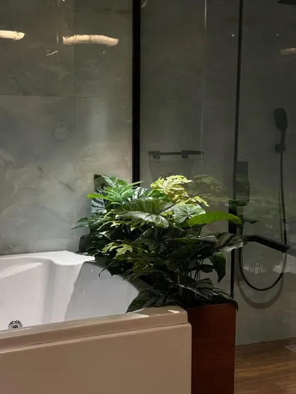 A close-up of the large, leafy plant placed beside the bathtub. Even a single, well-chosen plant can elevate the sense of tranquility and luxury in a bathroom.