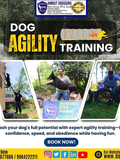 Dog Guru - Professional Dog Trainer Certification Advanced Training in Action photo 8