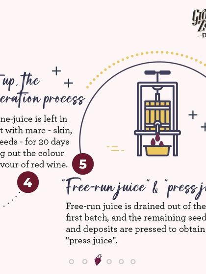 Next is the maceration process, where the juice is left in contact with the grape skins, pulp, and seeds for 20 days. This is what brings out the deep color and rich flavor of red wine.