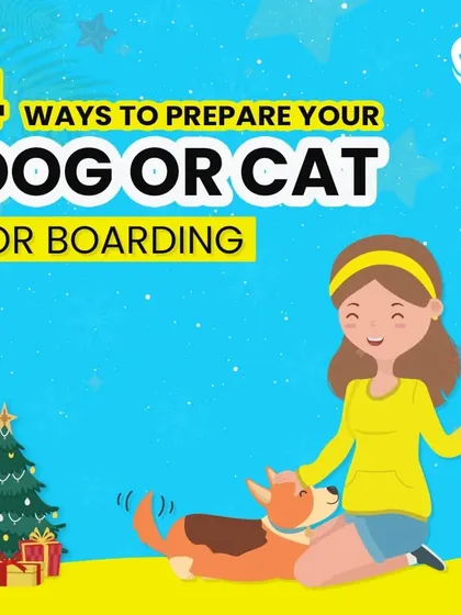 Preparing your dog or cat for boarding can make their stay stress-free. Here are 4 ways to prepare your pet for a comfortable and happy experience with us.