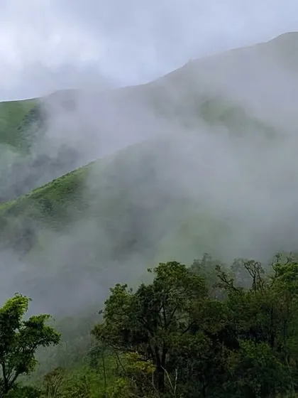 Clouds gently rolling over the green hills, a common and beautiful sight on our Nethravathi treks.