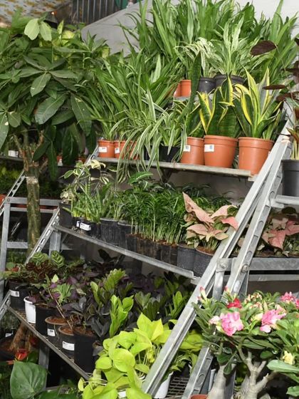 Explore Our Green Marketplace photo 9