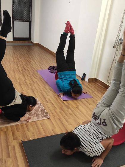 Students in a group class use yoga wheels to practice forearm stands (Pincha Mayurasana). The wheel provides a reference point and some stability as they build strength and balance.