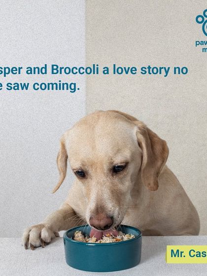 Meet Mr. Casper, whose love for broccoli was a story no one saw coming. We sneak healthy veggies into our meals so even picky eaters get their nutrients.