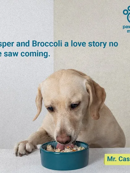 Meet Mr. Casper, whose love for broccoli was a story no one saw coming. We sneak healthy veggies into our meals so even picky eaters get their nutrients.