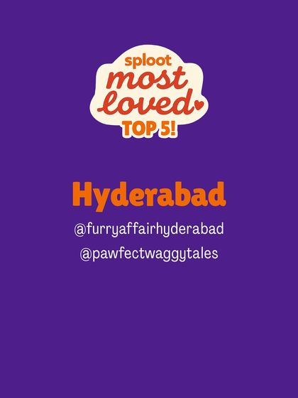 Announcing the 'Sploot Most Loved' list for Hyderabad. These are the top-rated dog boarding options in the city, nominated and voted for by our community of dedicated pet parents.