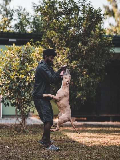 A game of tug is more than just play. It's a great way to build a dog's confidence and strengthen the bond with their handler, all while getting a great workout.