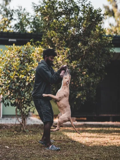 A game of tug is more than just play. It's a great way to build a dog's confidence and strengthen the bond with their handler, all while getting a great workout.