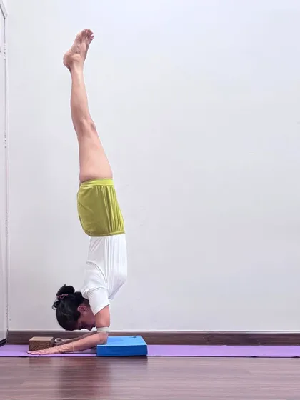 This image shows a hand variation in Pincha Mayurasana (Feathered Peacock Pose) using blocks. Props help to stabilize the shoulders and wrists, allowing the practitioner to build strength and confidence in this challenging arm balance.