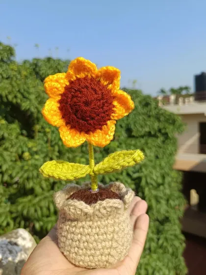 A single potted sunflower held in my hand, basking in the sunlight.