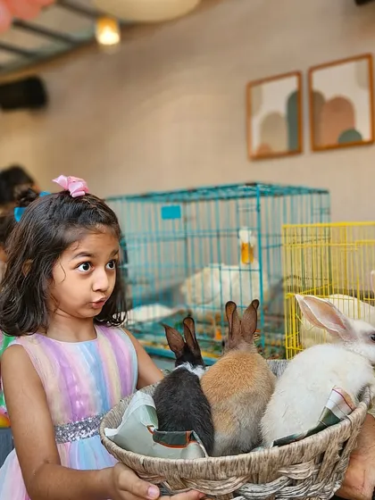 For animal lovers, we can arrange a mini petting zoo experience. The look of wonder on this little girl's face as she holds a basket of bunnies says it all. It's a gentle and memorable activity for kids.