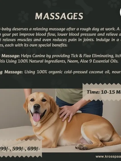 Grooming is also about wellness. This graphic explains our healing and soothing massage options, which use natural ingredients like neem, aloe, and coconut oil to improve circulation, relieve anxiety, and nourish the coat.