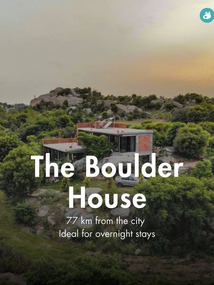 The Pack - Pet-Friendly Adventures & Meetups Pet-Parent Resources: Guides & Tips photo 25