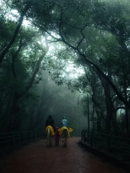 A family enjoys a horse ride through the misty paths of Matheran, a common and charming mode of transport in this vehicle-free hill station.