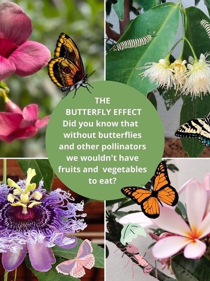 Earthlings Early Years - Preschool & Daycare Learning in Nature's Classroom photo 8