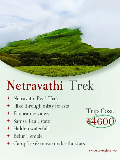 The Netravathi trek package details, highlighting the hike through misty forests, panoramic views, and a visit to the Samse Tea Estate.