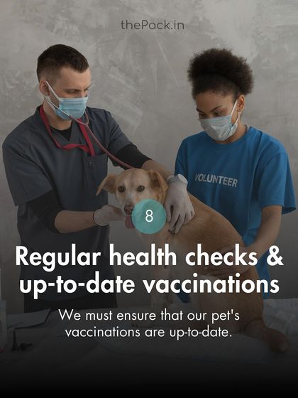 The Pack - Pet Parent Education & Workshops Awaara Nahi, Humara Hai: Community Dog Advocacy photo 62