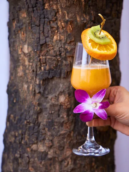 A vibrant orange and kiwi mocktail, garnished with an orchid. This tropical drink is a feast for the eyes and a refreshing treat for the palate.