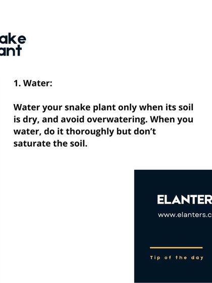 Expert Plant Care & Tips photo 38