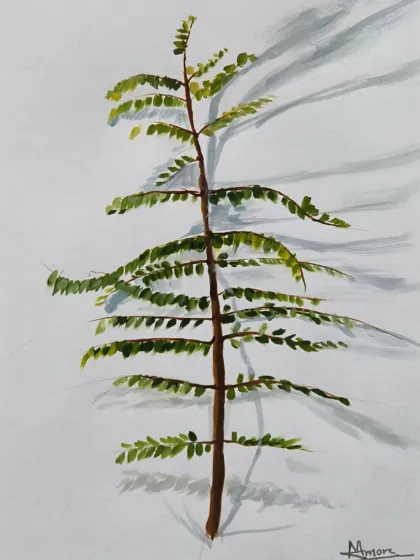 The final painting from the live plant study. The student has successfully captured the form of the leaves and the subtle cast shadows, demonstrating a solid grasp of foundational painting principles.