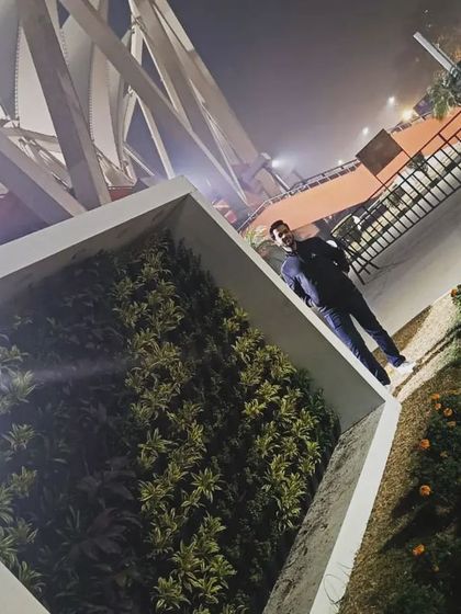 An angled shot of the living wall at night, showing its depth and the healthy, vibrant state of the plants.