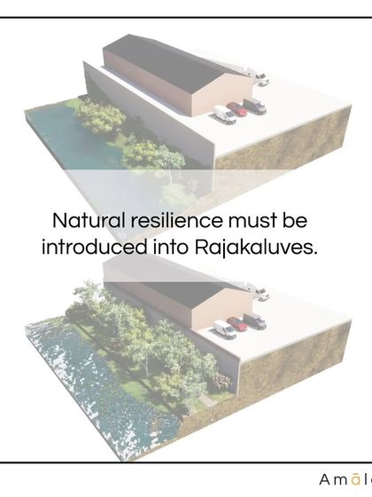 This before-and-after concept shows how I propose to introduce natural resilience into concrete-lined Rajakaluves. By replacing hard edges with vegetated, sloped banks, the drain's capacity is increased, and it becomes a habitat for local flora and fauna.