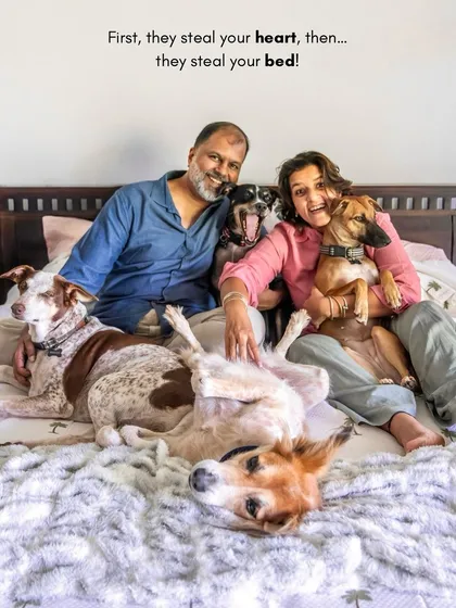 First, they steal your heart, then they steal your bed! This is the beautiful chaos of a house full of love and indie dogs. At-home lifestyle sessions are perfect for capturing your family's authentic, everyday moments in your most comfortable space.
