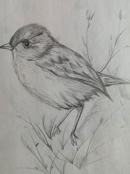 Another beautiful bird sketch from our foundation class, this one capturing a bird nestled in the grass.