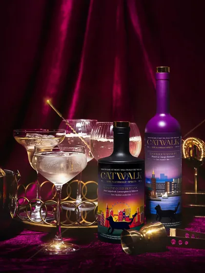 We created a glamorous, celebratory mood for this shot. The rich velvet curtain, gold accents, and sparkling glassware position the gin as a premium product perfect for a special night out.